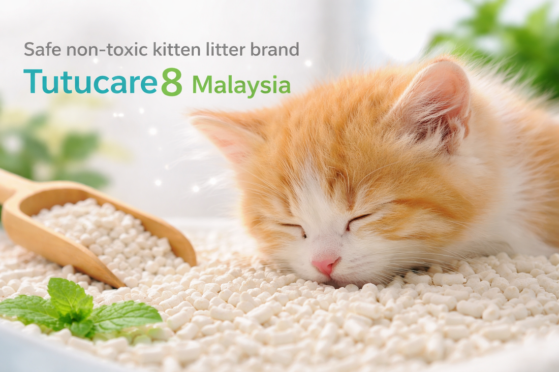 Safe non-toxic kitten litter brand Tutucare8 Malaysia