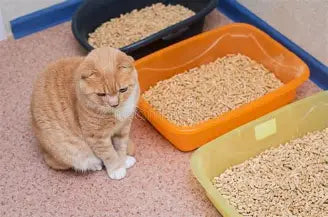 Safe tofu cat litter pellets for kittens; a non-toxic, food-grade alternative to clay litter for Malaysian pet owners