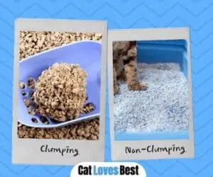 Clumping cat litter forming solid urine clumps