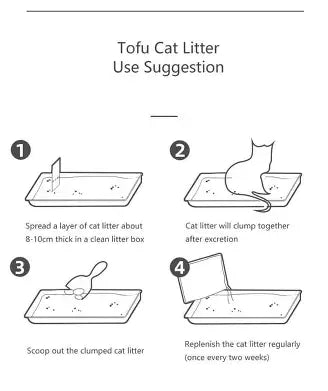 The complete guide on how to take care cat litter box