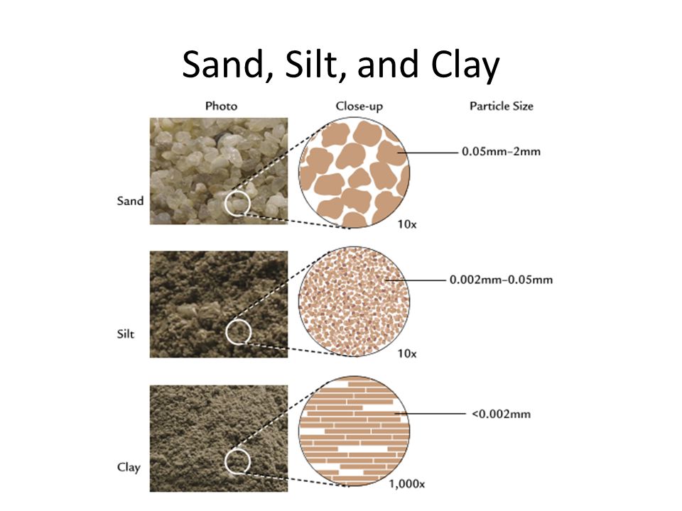 Clay vs silica cat litter dust comparison Malaysia homes