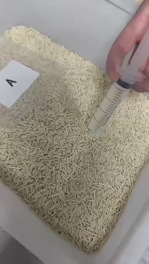 Green Tea Tofu Cat Litter (10kg) - 99.9% Dust-Free & Flushable for Condos